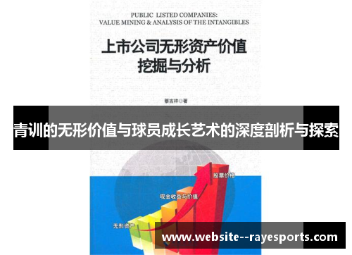 青训的无形价值与球员成长艺术的深度剖析与探索