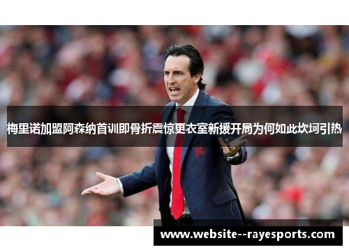 梅里诺加盟阿森纳首训即骨折震惊更衣室新援开局为何如此坎坷引热